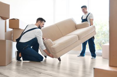 Get Your Items Transported Professionally!